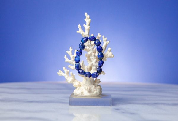Lapis Lazuli Tumble Crystal Stone Bracelet, Aurelia Bio-Scalar Wave Charged